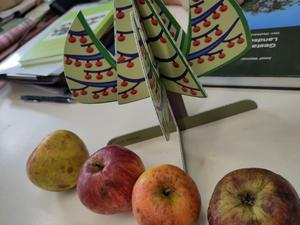 /images/2025/03/20250301_131222.thumbnail.jpg