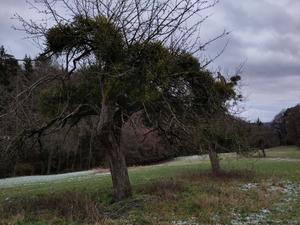 /images/2026/01/IMG_20260101_143512.thumbnail.jpg